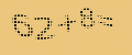 protect code
