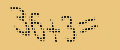 protect code