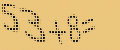 protect code